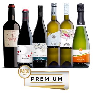 PACK PREMIUM <br>Conoce Vinos Jeromín